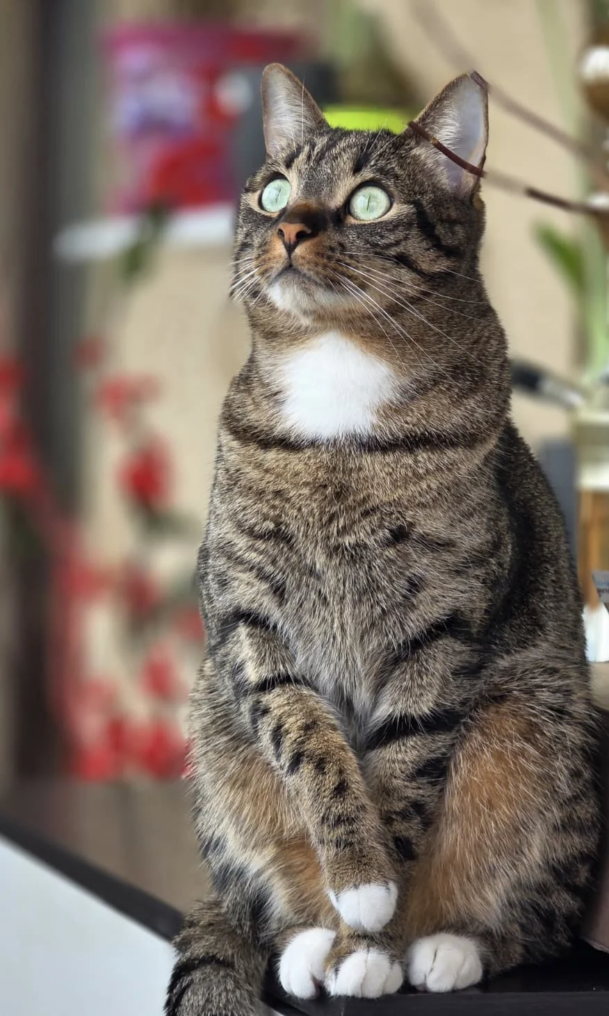 Milo